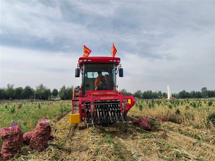 Automatic Garlic Bulb Harvester Machine