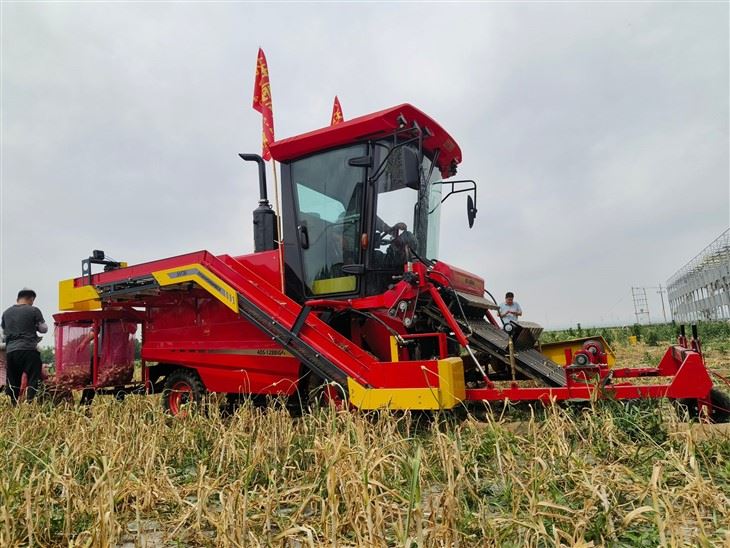 Automatic Garlic Bulb Harvester Machine