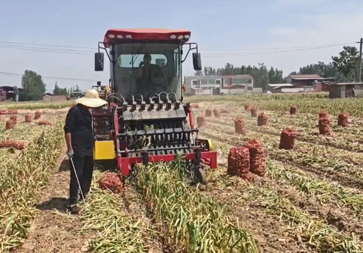 Automatic Garlic Bulb Harvester Machine