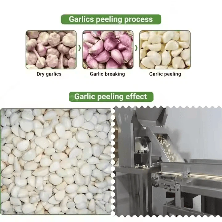 Peeled Garlic Production Line Buld Separating Garlic Clove Splitter Machine Garlic Cloves Separator Broker Machine